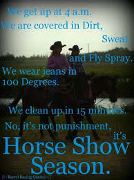 I Loved This Part I Know Riding Isn T Happening Anytime Soon But One Day I Ll Get Back Into It And Prove All Of The Disbe Inspirational Horse Quotes