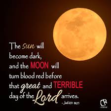 Pin On Daily Bible Verses
