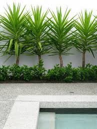 70 brilliant low maintenance front yard landscaping ideas frontyardlandscaping frontyardlandscapingide plants around pool pool plants front yard landscaping