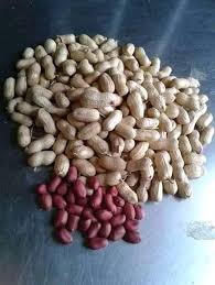 40a nhl team from edmonton oilers. Makarantar Ma Aurata 18 Posts Facebook