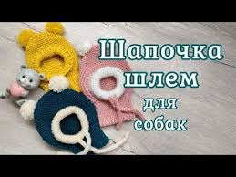 shapochka shlem dlya sobak vyazanie spicami hat for dogs youtube sviter dlya sobak sobaki odezhda dlya chihuahua