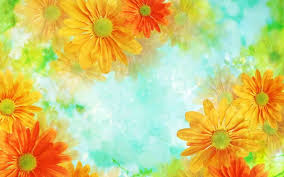 Amp Pinterest In Action In 2020 Flower Wallpaper Flower Backgrounds Wallpaper Pictures