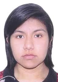 Ingresos de Otorongos Elecciones 2022