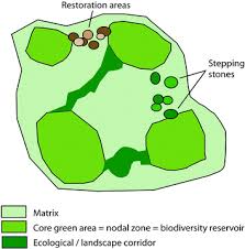 Posted on july 31, 2015 by elias. A New Design For Urban Gardens Being Framed In The Green Infrastructure Springerlink