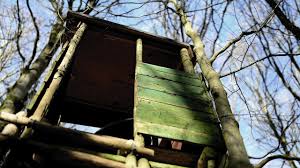 If you live in a home that has any space for a gazebo, you should consider it. How To Build A Treestand For Deer Hunting Deerproject Org