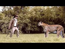 Man Vs Mountain Lion | Unbelievable Fight - Youtube
