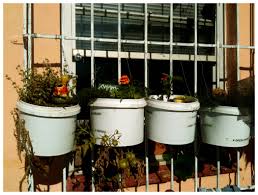Check spelling or type a new query. Has Anybody Had Any Success Using 5 Gallon Buckets As Planters Gardening Landscaping Stack Exchange