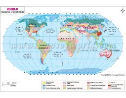 Buy World Natural Vegetation Map Online Download Online North America Map Map Geography Map