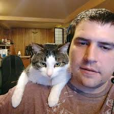 Does collection level play a part in climbing the ladder in Marvel Snap?