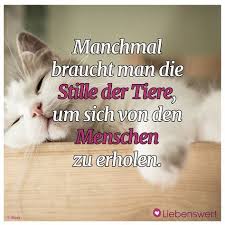 Spruche Fur Tierliebhaber Spruche Tiere Spruche Spruche Tierliebe