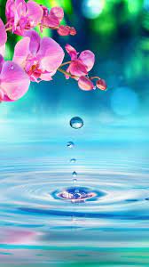 Pin By Rima On Imagenes Wallpaper Nature Flowers Beautiful Nature Wallpaper Pretty Wallpapers