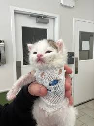 He's not as upset as he looks