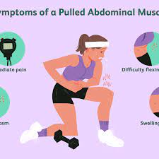 The abdominal muscles also play a major role in the posture and stability to the body and compress the organs of the abdominal cavity during the muscles of the lower back, including the erector spinae and quadratus lumborum muscles, contract to extend and laterally bend the vertebral column. Pulled Abdominal Muscle Symptoms And Treatment