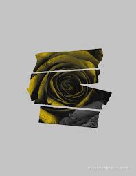 twenty one pilots lyrics edmonton brand logo designer kaespo edmonton creative lifestyle design blog twenty one pilots lyrics edmonton