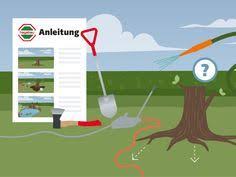 Baumwurzeln Entfernen Weitere Informationen Finden Sie Auf Hagebau De In 2020 Baumwurzel Wurzel Entfernen Wurzel