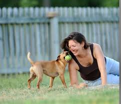 Love and Dogs and Dogs and Us