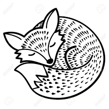 vector isolated fox black and white ad drawing lino art animal illustration kids coloriage habitat animalier pdf