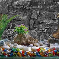 Image result for Terrarium Cling Background