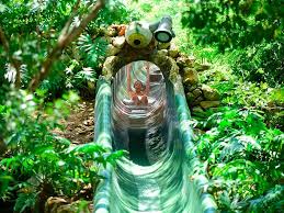 Open your xenses and enjoy the eden. Xenses Eze Trip Travel Agency