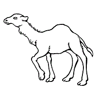 You want to see all of these nature & seasons, deserts coloring pages. Desert Animals Coloring Pages