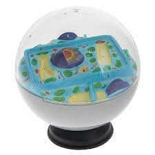 We did not find results for: Plant And Animal Cell Model Activity Set 1005486 W40223 Hubbard Scientific 2057 Biology Models Biology Teaching Models Cell Division Products Plant Cell Models