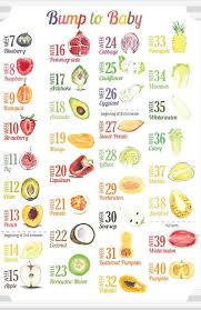 Fruit Of The Month Baby Calendar Baby Fruit Baby Weeks