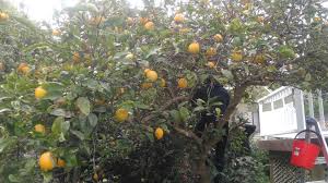 Wet start in Wellie...