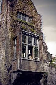 Famous Dog Fidel From Bruges B Bruges Bruges Belgium Famous Dogs