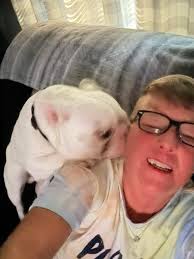 Person who hit our family pet