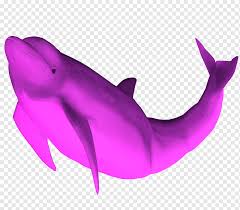 The blowout shop, outlet department, clearance departments; Pinkdolphin Clothing Png Images Pngwing