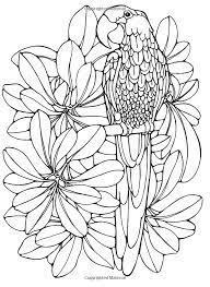 Touch device users, explore by touch or with swipe gestures. Designs For Coloring Birds Ruth Heller 9780448031507 Amazon Com Books Flower Coloring Pages Coloring Pages Bird Coloring Pages