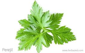 Feb 28, 2019 · parsley is a popular herb often used in american, european, and middle eastern cooking. Perejil Herbazest
