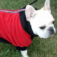 Fido Fleece Coat For Small Dogs From Golly Gear