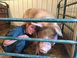 Friendshipgoals Pol Emily Thomas Animal Facts