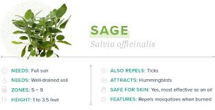 We did not find results for: 15 Plants That Repel Mosquitoes Proflowers