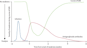 Your doctor may then recommend: Clinical Features Pathogenesis And Treatment Of Guillain Barre Syndrome The Lancet Neurology