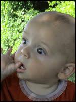 Fotoalbum Lukas Kirner