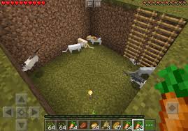 Just gather your supplies, set up you don't have to use a special rabbit tray. This Used To Be Full Of Rabbits Do Cats Kill Rabbts Minecraft