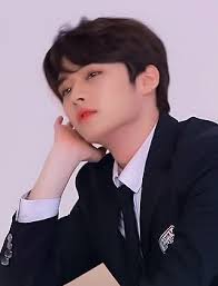 The clip stirred unwanted negative comments after she. Minho Skz Birthday