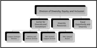 Division Of Diversity Equity And Inclusion Diversity