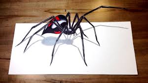 Draw a small circle for the spider's head and add a bigger circle for the body. Will It Bite Black Widow Challenge 3d Spider Drawing Trick Art Youtube