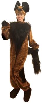 images?q=tbn:ANd9GcRPbGrY8THVhrRuiw685nI