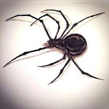 We did not find results for: Simple Black Spider Tattoo Design Tattooimages Biz