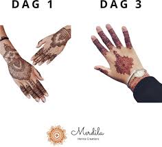 A henna possui sua alquimia, sua primeira coloração é alaranjada, ela passa pelo período de oxidação e chega ao tom final em até 48h após retirda da pasta da pele. Bol Com Henna Henna Pasta Henna Tattoo Henna Tattoo Inkt Henna Inkt Natuurlijk Henna