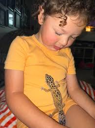 We're new to the gecko world… Is sunny overweight!? 🙃