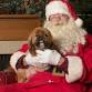 Pet Portraits with Santa