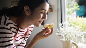 Lemon-Scented Essential Oil Guide: Similarities, Differences, and Uses