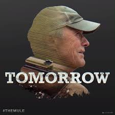 Use the thumbs up and thumbs down icons to agree or disagree that the title is similar to the mule. The Mule Film Home Facebook