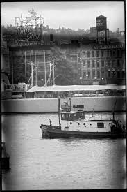 Image result for White 1990 Fleet