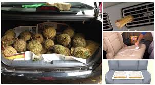 May 27, 2021 · penduduk mendakwa melihat kaki manusia melalui celah patung stegosaurus dan bau busuk. 7 Cara Hilangkan Bau Durian Yang Meraung Dalam Kereta Anda